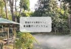 行田市の隠れ家『和庭cafe』で味わう🍃体に優しい自然食ランチ