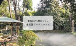 期間限定　星溪園ガーデンカフェで幻想的な雲海とグリーンスローモビリティ体験【熊谷市】