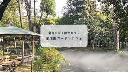 期間限定　星溪園ガーデンカフェで幻想的な雲海とグリーンスローモビリティ体験【熊谷市】