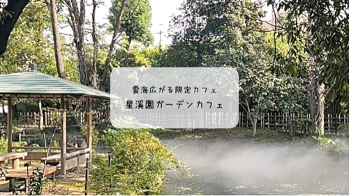期間限定　星溪園ガーデンカフェで幻想的な雲海とグリーンスローモビリティ体験【熊谷市】