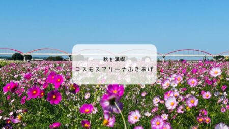 コスモスアリーナふきあげに行ってきた！色とりどりのコスモス畑が広がる絶景スポット【埼玉】