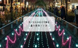 熊谷・星川夜市で出会った美味しい夜🌙出店グルメとイルミネーション散歩2025年11月