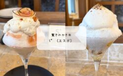 S°(エスド)の11月限定かき氷🍎「林檎と森」と「蕎麦茶氷」を食べ比べ!