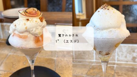 S°（エスド）の11月限定かき氷🍎「林檎と森」と「蕎麦茶氷」を食べ比べ！