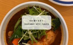 森に囲まれた癒しのスープカレー専門店🍃 【soupcurry neco Fukaya】深谷に誕生した行田発の人気店