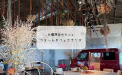 畑の真ん中に素敵カフェオープン　ファームカフェクラリス（日曜限定）訪問レポ｜熊谷市妻沼台