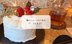 S°（エスド）12月限定かき氷｜本庄で楽しむ苺のショートケーキ氷とピスタチオツリー