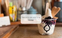 【太田市カフェ】FUIGOの2月限定アフォガートが絶品！チーズクリームとブルーベリーのハーモニー