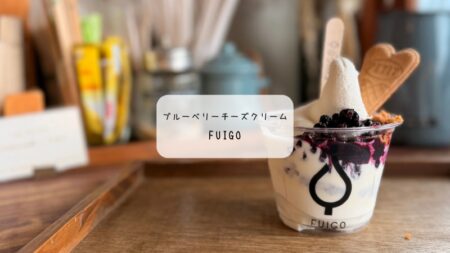 【太田市カフェ】FUIGOの2月限定アフォガートが絶品！チーズクリームとブルーベリーのハーモニー