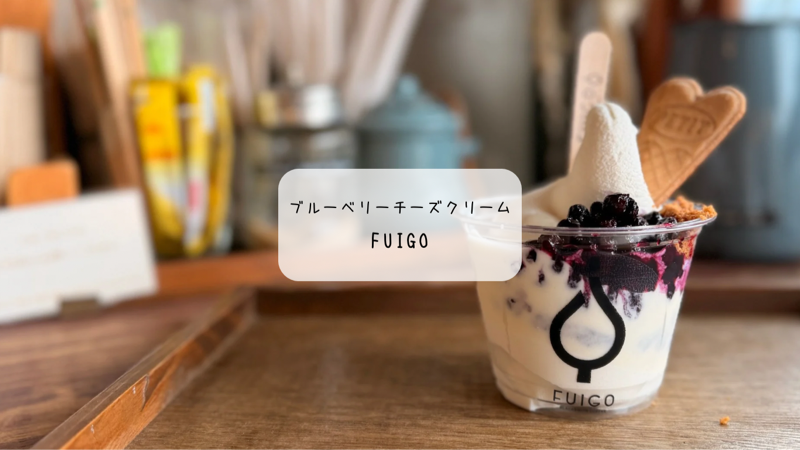 【太田市カフェ】FUIGOの2月限定アフォガートが絶品！チーズクリームとブルーベリーのハーモニー