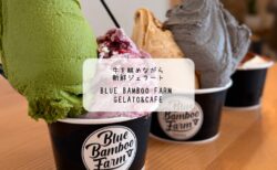 牧場直営ジェラートでカフェ始め。暖炉と牛に癒される冬時間｜熊谷市 Blue Bamboo Farm Gelato&Cafe