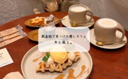 【広島駅】新幹線に乗る前に寄るべき！「木と風と。」実食レポ。電源あり・荷物OKの神カフェだった