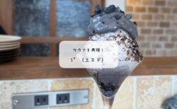 【本庄】S°（エスド）で整う贅沢。4月限定の真っ黒かき氷「SAUNA」を実食レポート！