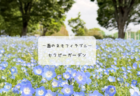 （群馬・太田）　4席限定の贅沢モーニング「parler.（パルレ）」！5月の具沢山きのこキッシュに感動