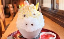 【熊谷かき氷】大福茶屋さわたの「雪くま2026」明治コラボの限定干支氷「ユニコーン」を古民家カフェで実食レポ