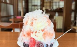 【熊谷・雪くま】妻沼聖天山境内の「騎崎屋」で味わう！ふわふわ「木いちごミルク」体験レポ