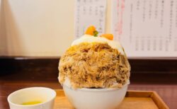 【熊谷雪くま2026】1店舗目は「茶の西田園」へ！明治コラボの試作かき氷「和紅茶ヨーグルトミルクにオレンジみかん」実食レポ