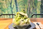 【熊谷かき氷】大福茶屋さわたの「雪くま2026」明治コラボの限定干支氷「ユニコーン」を古民家カフェで実食レポ