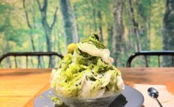 【熊谷】おふろcafe ハレニワの湯の「雪くま」正直レポ！スタンプラリー前に知っておきたい注意点とは？