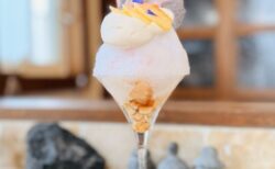 【本庄市】パティシエが作る絶品かき氷「S°(エスド)」桃と紅茶の華やか氷