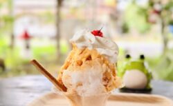 【熊谷かき氷】まるでプリンアラモード！贅沢すぎる極上「雪くま」をさわた おひさまパン工房で堪能【実食レポ】