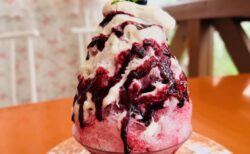 【熊谷】シノン洋菓子店でいただく極上「雪くま」！もったりレアチーズとブルーベリーヨーグルトの贅沢コラボに癒されて