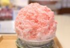 【群馬・前橋】お花屋さんの期間限定かき氷店「風花家(ふうがや)」で絶品ティラミス氷に癒されてきた!