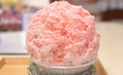 【熊谷】そば処 木村屋で味わう絶品かけそばとご当地かき氷「雪くま」！スタンプラリー未参加でも絶対行きたい私のマイベスト名店