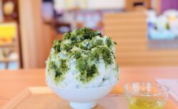 【埼玉県美里町】枯山水を眺めながら極上の一服。「茶舗 いこた」で味わう名店直伝の濃厚抹茶あずきミルクかき氷