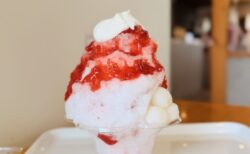 【深谷市】待望の復活!「菊寿堂」の絶品ふんわりかき氷と贅沢生クリームに癒され夏を乗り切ろう