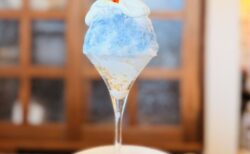 【本庄】かき氷専門店「S°」へ！絶品とうもろこし＆ブルーハワイの実食レポと素敵な撮影の裏側♪