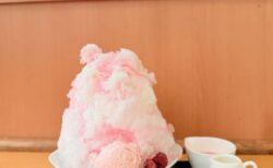 【熊谷・雪くま2026】薔薇が香る絶品かき氷!道の駅めぬま「ミルキーローズ」と「豆美人」を堪能【道の駅めぬま サラダ館】