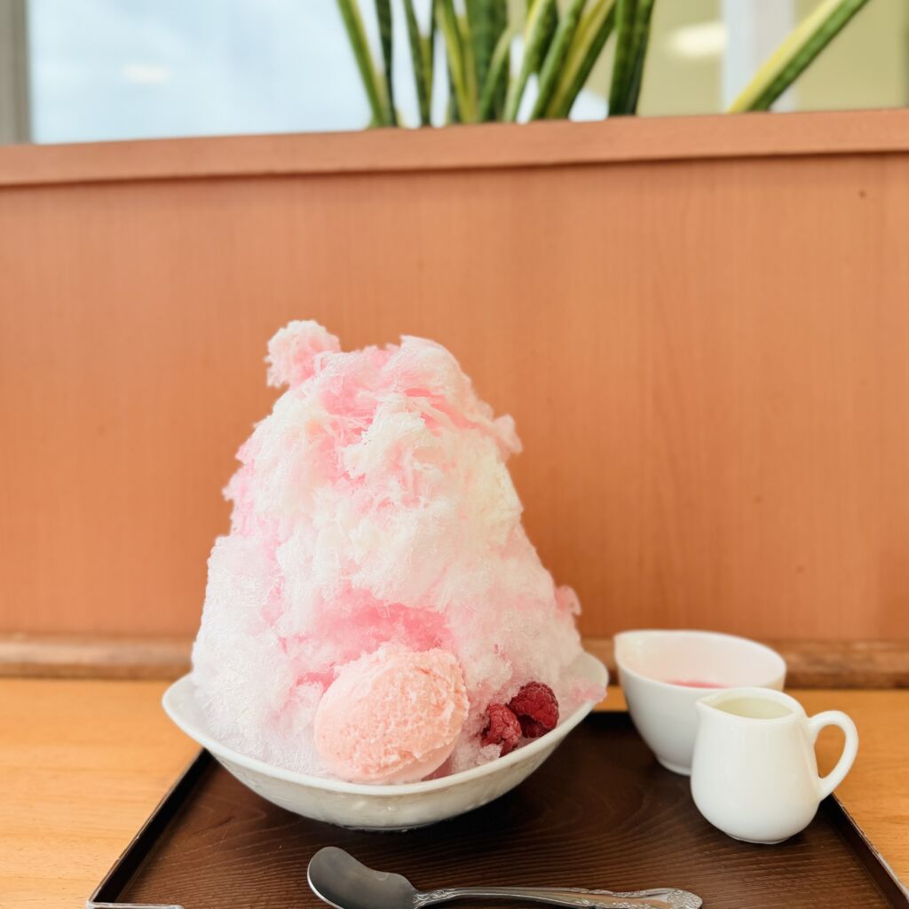 【熊谷・雪くま2026】薔薇が香る絶品かき氷！道の駅めぬま「ミルキーローズ」と「豆美人」を堪能【道の駅めぬま サラダ館】