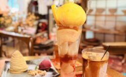 【熊谷カフェ】Y’s cafeの限定「夏パフェ」に感動！事前チェック必須の激レア桃パフェ＆栗モンブランで癒しの休日