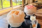 【群馬県太田市】1年半ぶり復活！FUIGOの8月限定アフォガート「あんずと杏仁」が至福の美味しさ