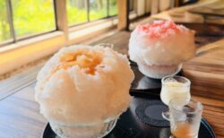 【前橋市・古民家カフェ】初雪堂で味わう絶品ふわふわボリューム満点かき氷!メニュー・注文方法・実食レポ