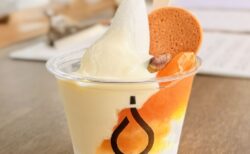 【群馬県太田市】1年半ぶり復活！FUIGOの8月限定アフォガート「あんずと杏仁」が至福の美味しさ