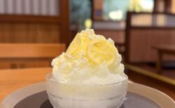 【熊谷温泉 湯楽の里】サウナ＆温泉の後は絶品かき氷！雪くま「はちみつレモンみるく」で極上整い体験