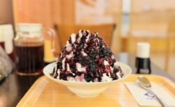 【熊谷】「けずりひ島田」で味わう限定雪くま！スタンプ13個目！meijiコラボの贅沢ブルーベリーヨーグルトかき氷と日本庭園に癒やされるカフェ