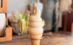 【群馬・太田】FUIGO（フイゴ）の期間限定高級コーヒー豆を使った「ゲイシャコーヒーソフト」が絶品！贅沢すぎるお出かけスイーツ